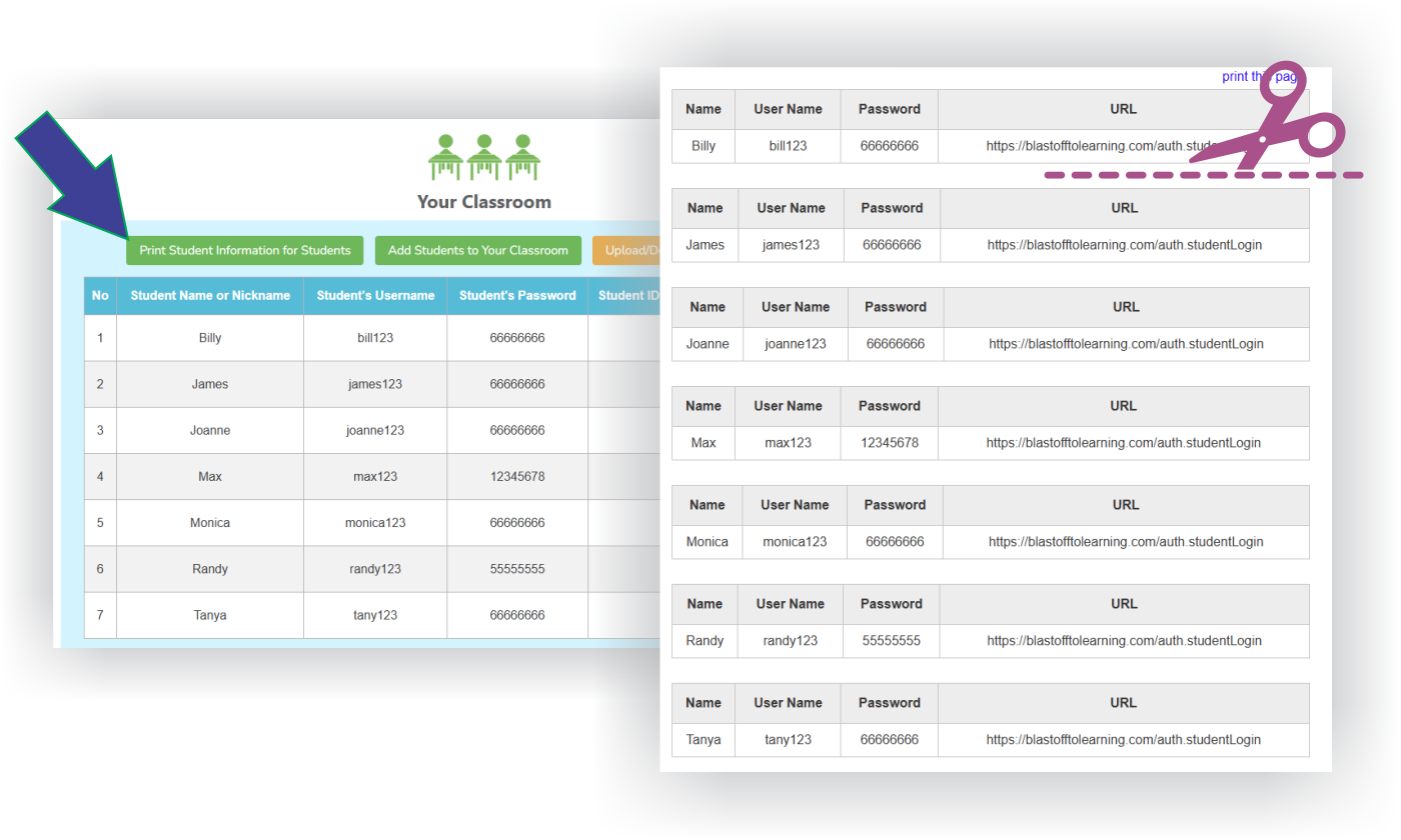 Student Information Strips
